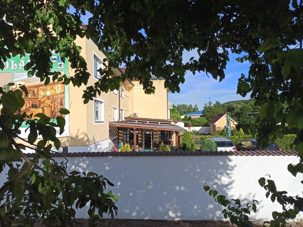 Pension U Mydlaru Mnichovo Hradiste Exterior photo